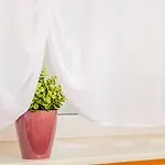 Zemaites ホテル ヴィリニュス