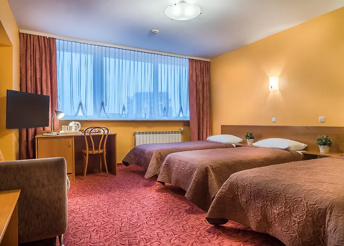 Zemaites ヴィリニュス